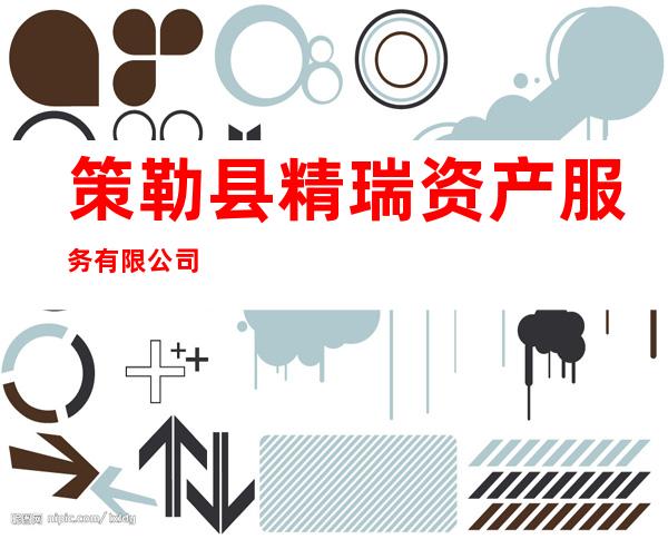 策勒县精瑞资产服务有限公司