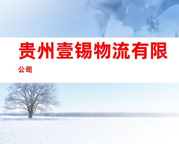 贵州壹锡物流有限公司