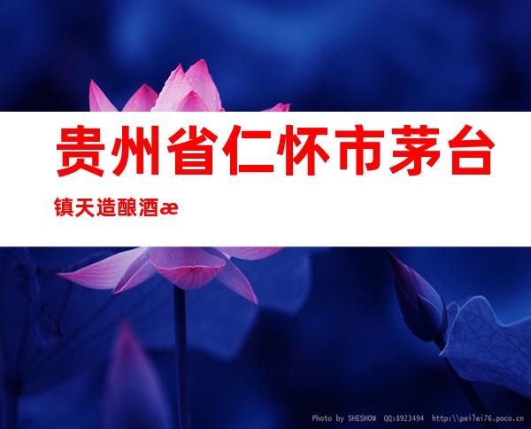 贵州省仁怀市茅台镇天造酿酒有限公司