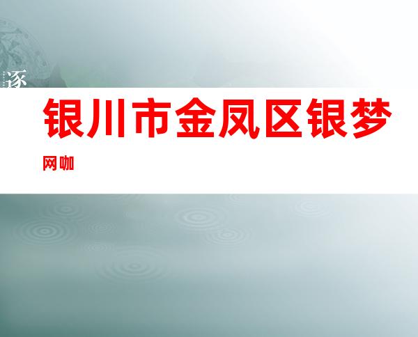 银川市金凤区银梦网咖