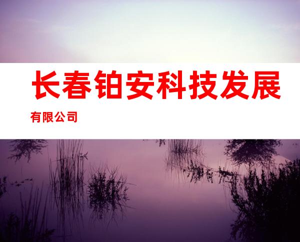长春铂安科技发展有限公司