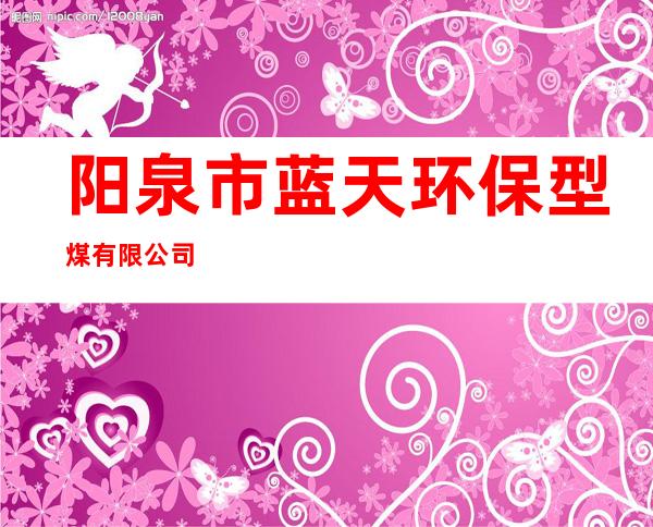 阳泉市蓝天环保型煤有限公司