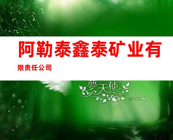 阿勒泰鑫泰矿业有限责任公司
