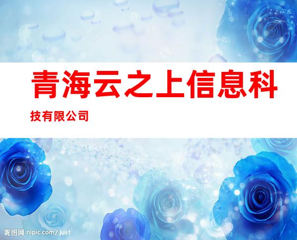 青海云之上信息科技有限公司