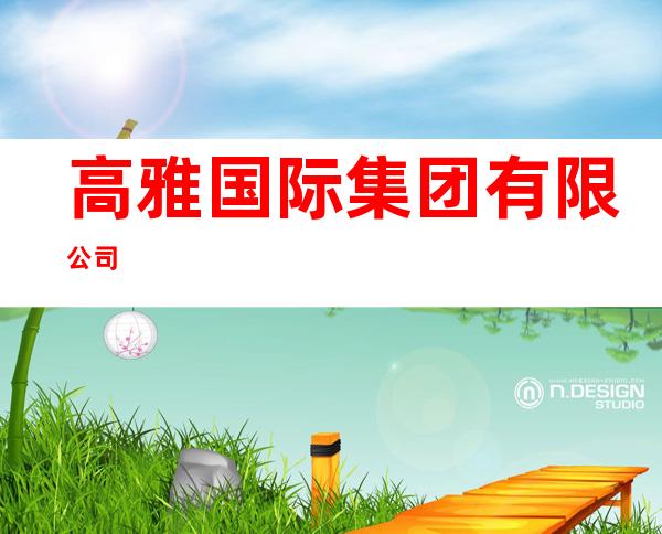 高雅国际集团有限公司