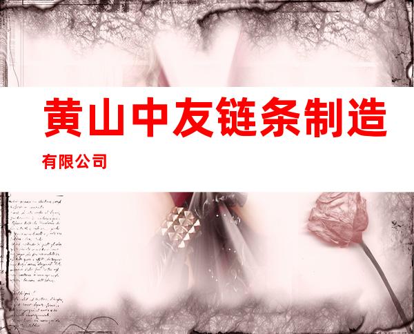 黄山中友链条制造有限公司