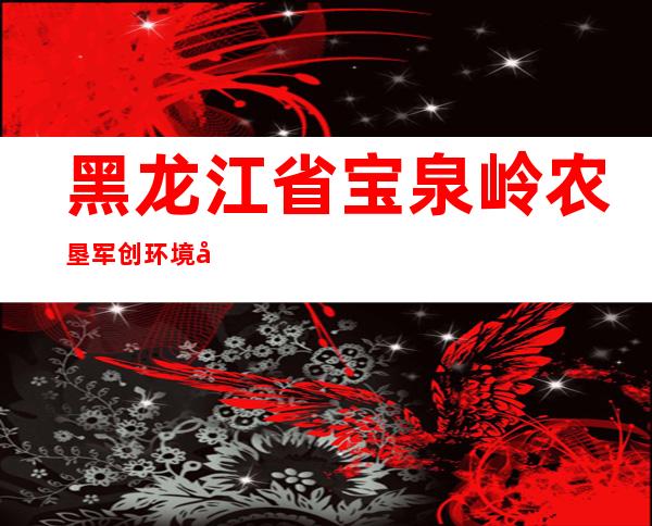 黑龙江省宝泉岭农垦军创环境卫生管理服务有限公司